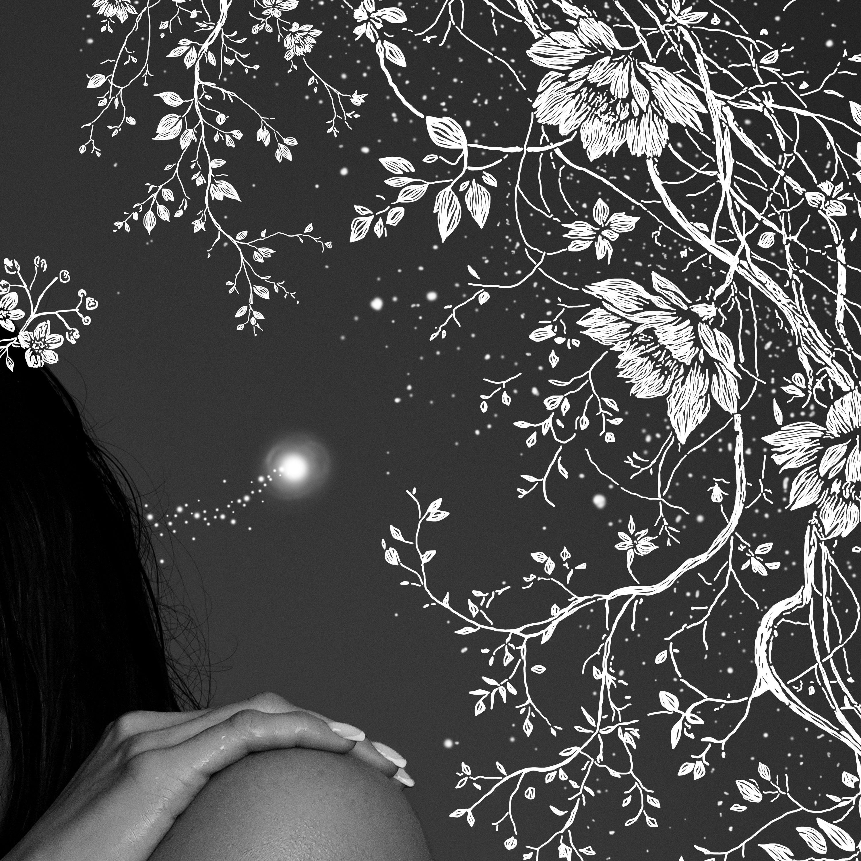 Prestige Plaque Edition